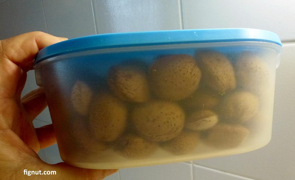 Shelled almond nuts stored in airtight plastic box, good storage for refrigerating or freezing