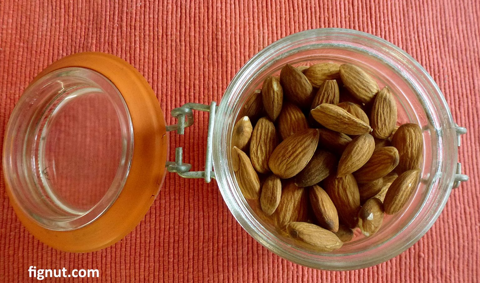 Storing Almonds at Home Shelled or Unshelled FigNut