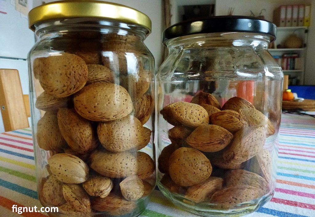 Shelled almonds stored in airtight mason jars