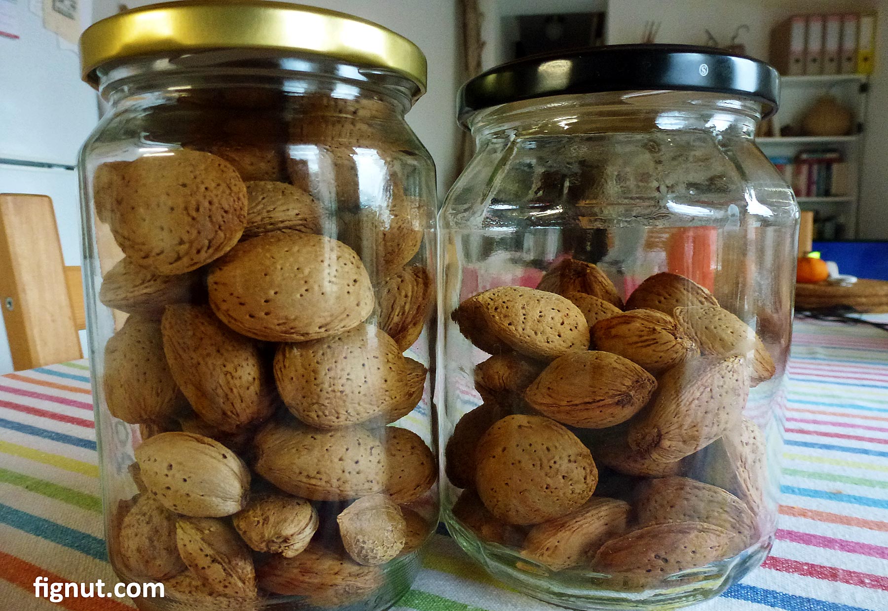Storing Almonds at Home Shelled or Unshelled FigNut