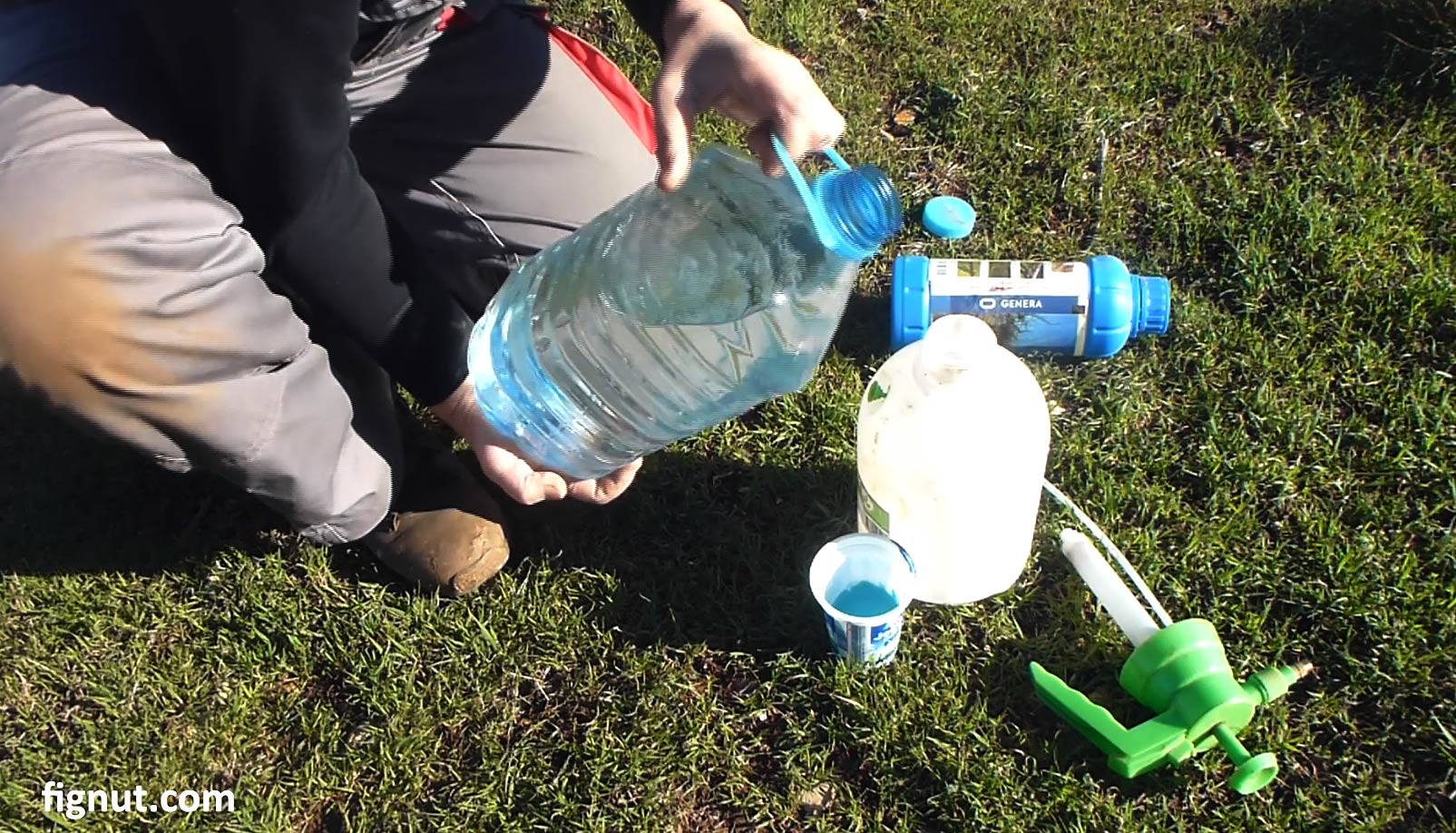 Dormant Oil Sprays On Fruit Trees With Photos And Videos Fignut