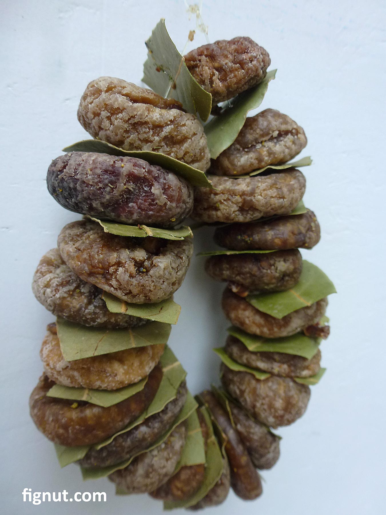 How to Store Dried Figs at Home FigNut