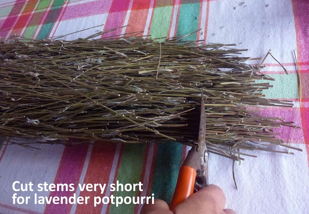 Cut stems very short for lavender potpourri