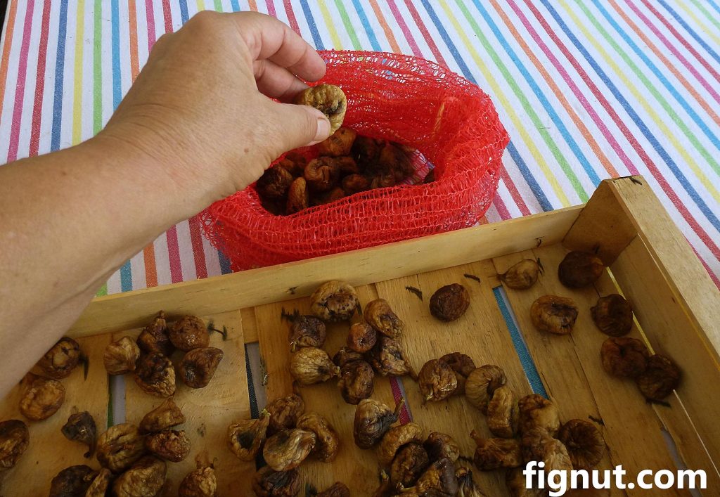 Place all you dried figs in the mesh, potato bag