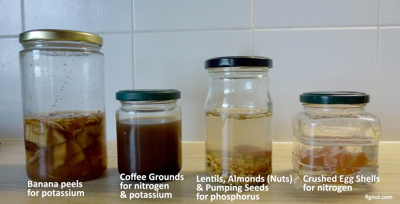 Homemade Rooting Hormone (with Photos & Video) - FigNut