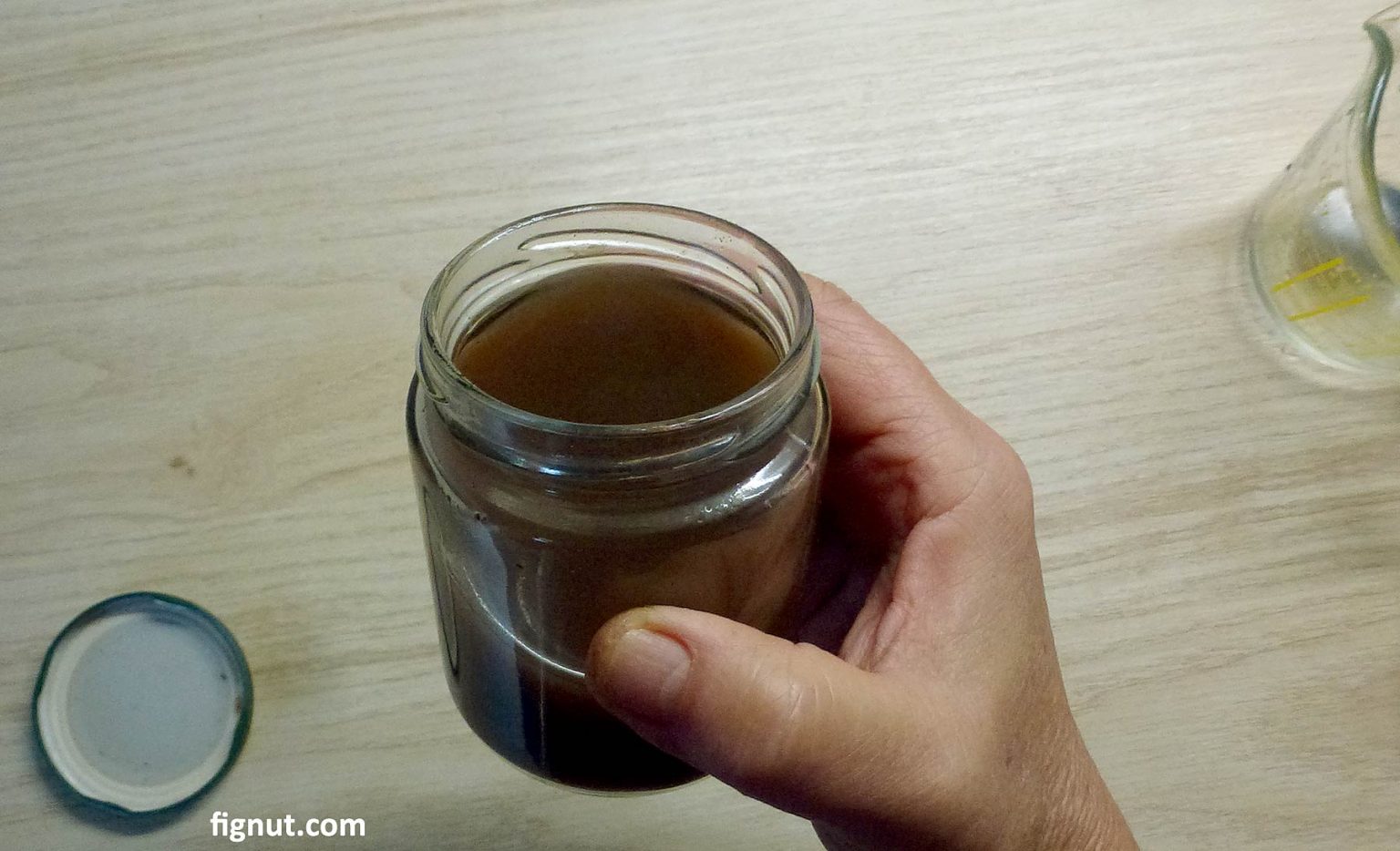 Homemade Rooting Hormone (with Photos & Video) - FigNut