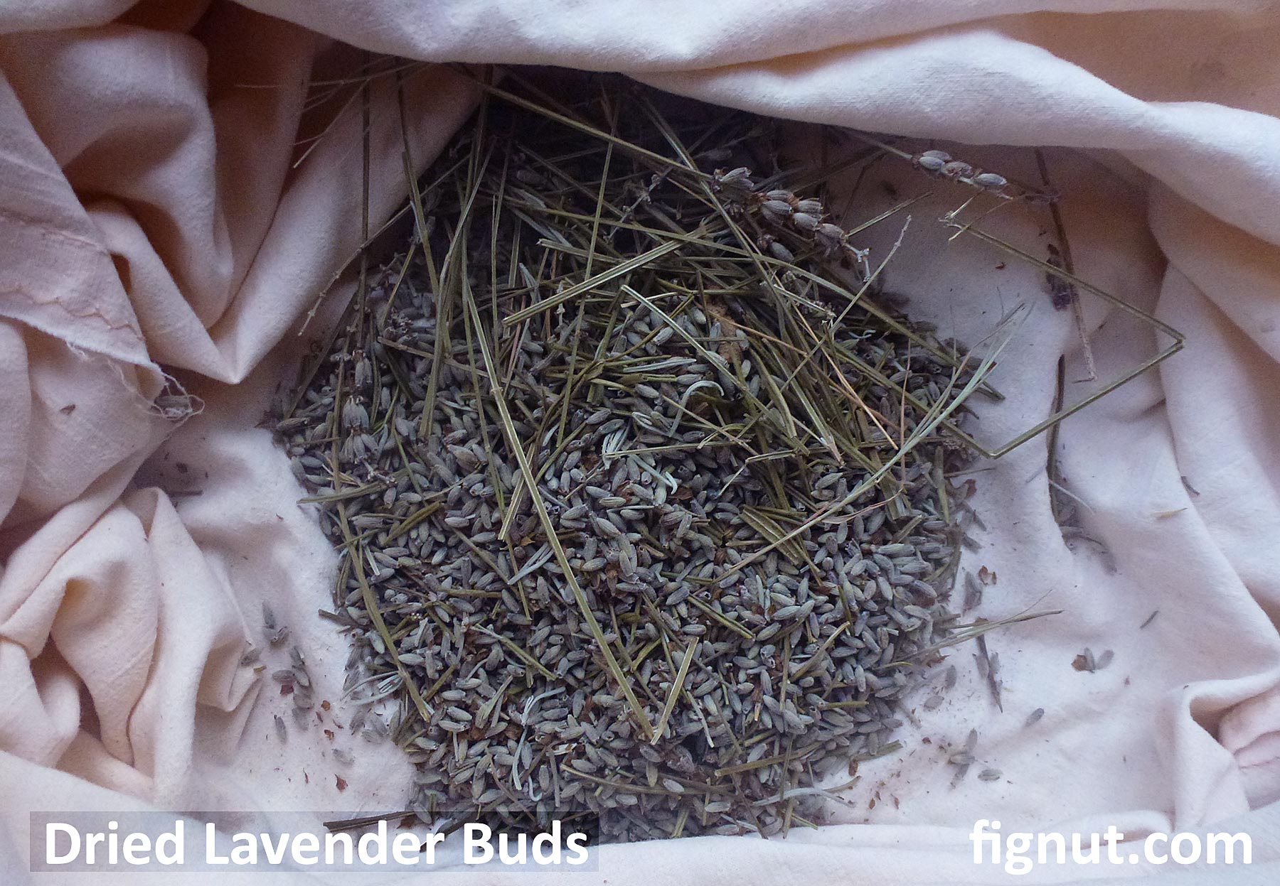 How To Dry Lavender Flowers And Leaves At Home Fignut 2360