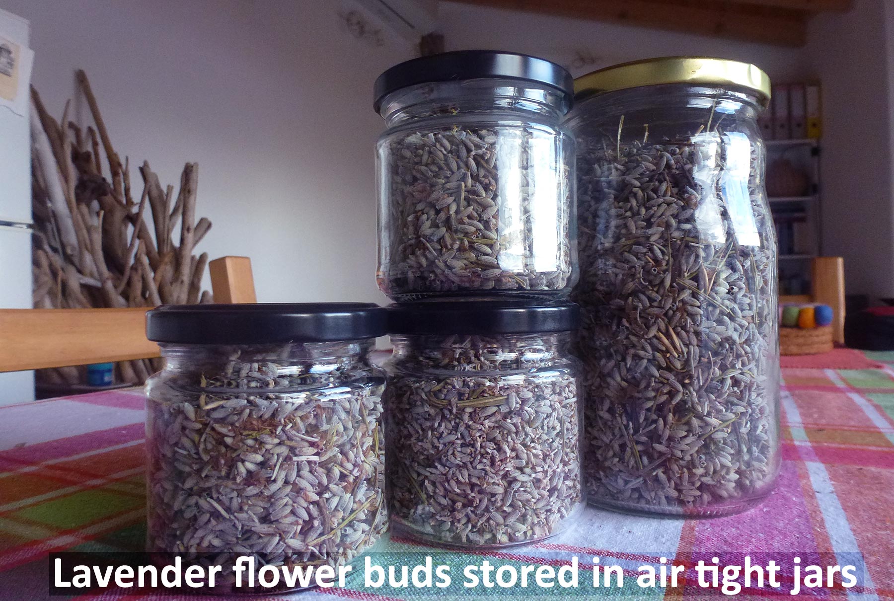 How To Store Dried Lavender Flowers Buds And Leaves Fignut 8970