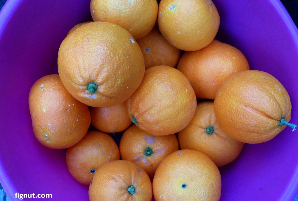Our oranges