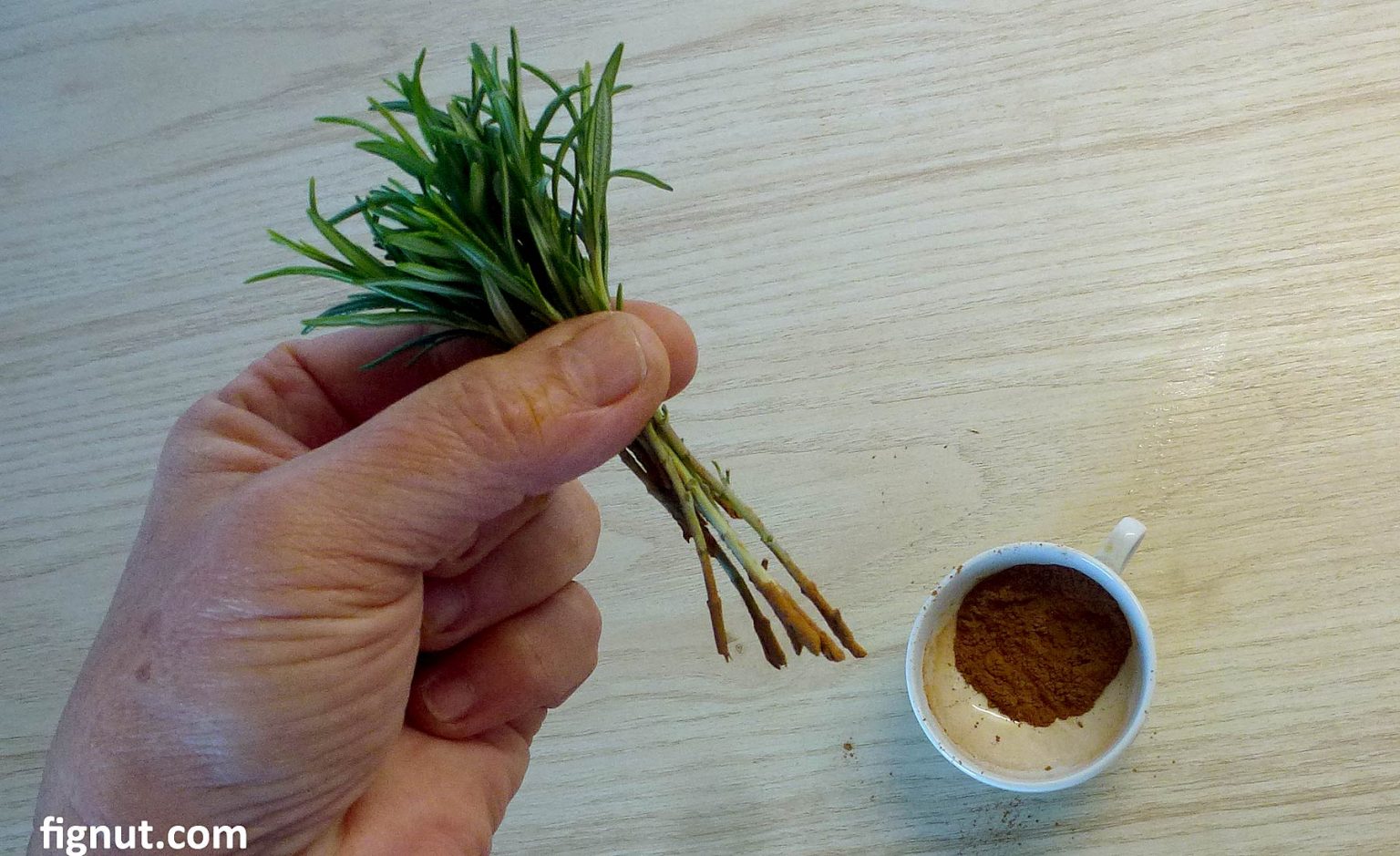 How to Grow Rosemary from Cuttings (With Photos & Video)